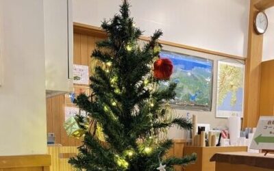 20241222クリスマスツリー