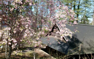 KODAK Digital Still Camera